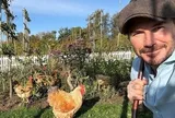 David Beckham "bỏ phố về quê", trồng rau nuôi gà, tận hưởng cuộc sống bình dị giữa điền trang triệu đô