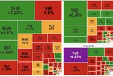 VN-Index giữ sắc xanh giữa nhịp phân hóa phiên 20/11