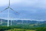Điện gió Quảng Trị cắt giảm công suất, hướng đi nào cho phát triển năng lượng tái tạo bền vững?