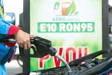Xăng sinh học: Doanh nghiệp còn lăn tăn về hiệu quả kinh doanh, mức giá