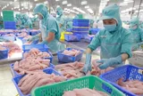 Thủy sản Việt Nam tiến sát mốc xuất khẩu kỷ lục