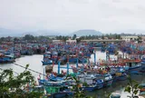 Quảng Ngãi chi hơn 20 tỉ đồng hỗ trợ chuyển đổi nghề, giải bản 130 tàu cá