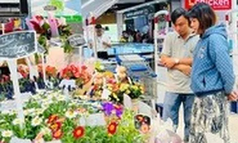 Saigon Co.op tổ chức tuần lễ trái cây tri ân ngày nhà giáo Việt Nam