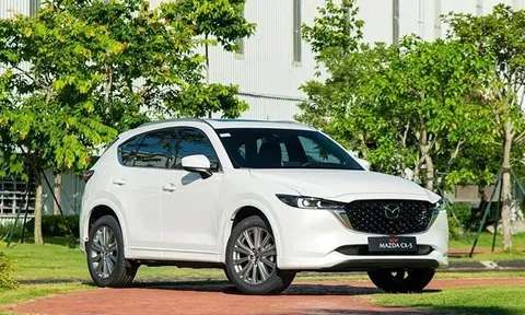 SUV dưới 1 tỷ tại Việt Nam: 2 mẫu xe bỏ xa đối thủ, khách Việt thích xe trung tính?