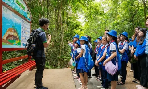 'Mizuiku – Em yêu nước sạch': Giáo dục chủ động, nuôi dưỡng ý thức bảo tồn nguồn nước