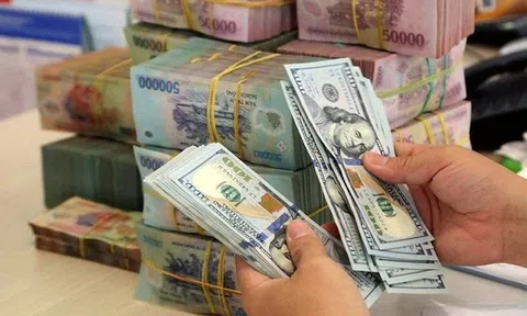 Lãnh đạo NHNN nói về 2 dòng ngoại tệ lớn chảy ra trong năm 2024