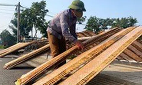 Làng bánh đa nem truyền thống chạy đua sản xuất hàng Tết