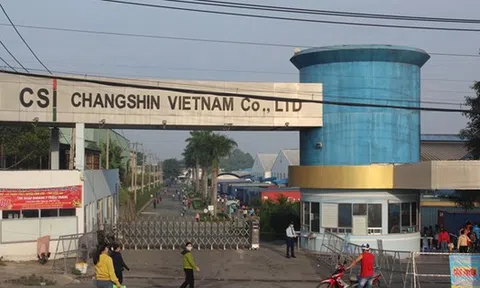 Vi phạm về đất đai, bảo vệ môi trường tại Công ty Chang Shin Việt Nam