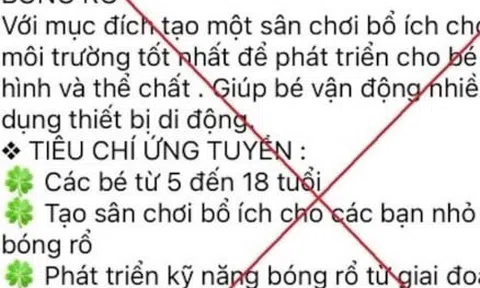 Đăng ký học bóng rổ cho con trên mạng, người phụ nữ ở Hà Nội bị lừa 1,1 tỷ đồng