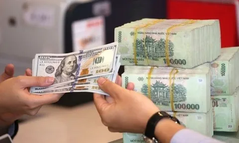 Tỷ giá hôm nay 15/1: USD tự do giảm mạnh