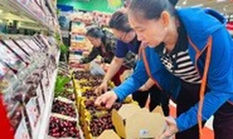 Cherry đổ bộ siêu thị Tết, rẻ chưa từng có