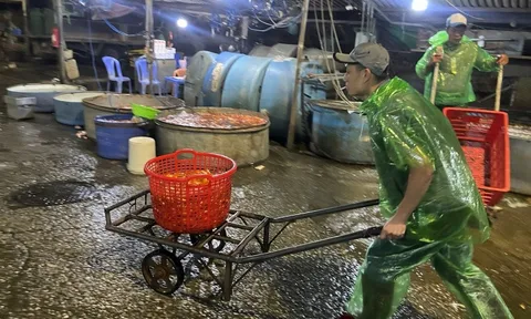 Khu chợ nổi tiếng Hà Nội dịp ông Công ông Táo nhộn nhịp xuyên đêm, nhiều người “cân đo đong đếm” lượng mua vì 1 điều