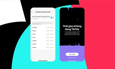 TikTok tung bộ công cụ giúp phụ huynh kiểm soát tài khoản của con: Giới hạn được thời gian sử dụng, biết cả những tài khoản con đã chặn trên TikTok