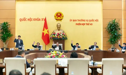 Giảm 30% tiền thuê đất năm 2024 để giúp doanh nghiệp vượt khó