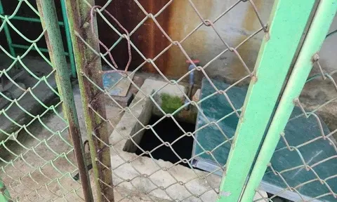 Thông tin mới nhất vụ bé 5 tuổi tử vong trong bể nước trường mầm non