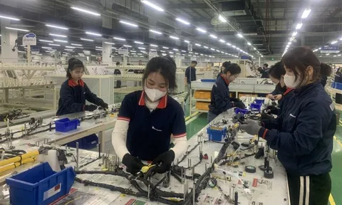 Nhiều doanh nghiệp tại Nghệ An gấp rút tuyển số lượng lớn lao động, thu nhập cao