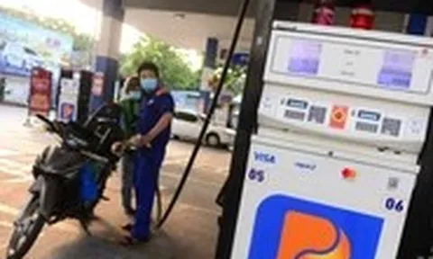 Lợi nhuận Petrolimex lao dốc, đang có gần 28.000 tỉ gửi ngân hàng, 'rót' vào trái phiếu