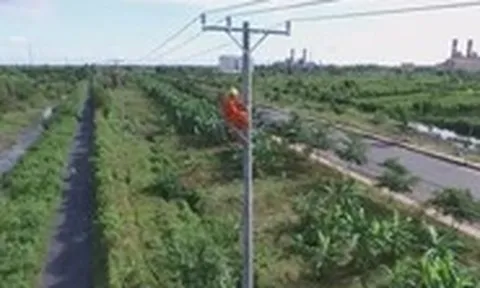 Cuộc thi clip ‘50 năm - Tỏa sáng miền Nam’: Chuyển đổi số trong công tác kỹ thuật