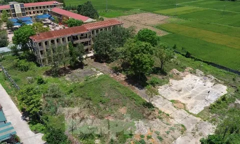 Thanh Hóa: Sau giải thể, trường học trên đất vàng bỏ hoang, đổ nát