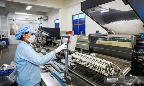 Áp lực giăng tứ phía, doanh nghiệp nhỏ "gồng mình" thích nghi