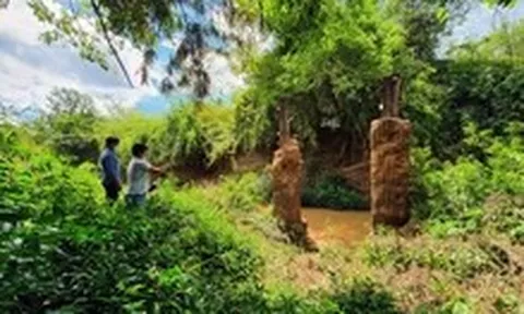 Đánh giá kỹ tác động môi trường khi làm đường kết nối Bình Phước với Đồng Nai