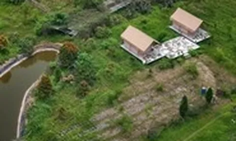 'Ốc đảo' hoang sơ hiếm có giữa sông Hồng ở Hà Nội bị 'xẻ thịt', chủ vi phạm tránh mặt