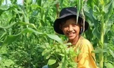 Cậu bé 11 tuổi bán rau phụ mẹ nuôi em
