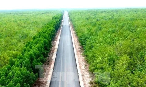 Dự án đường Hồ Chí Minh qua 4 tỉnh phía Nam vừa 'lỡ hẹn' về đích