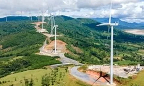 Quảng Trị đốc thúc, xem xét dừng nhiều dự án điện gió ngàn tỉ chậm tiến độ