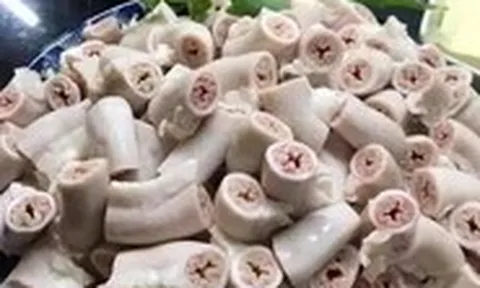 Thực phẩm bẩn: Bệnh từ miệng mà ra