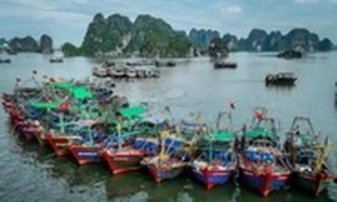 Lệnh cấm đánh bắt cá trên Biển Đông của Trung Quốc đã xâm phạm quyền chủ quyền của Việt Nam