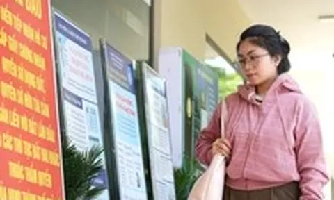 Sớm công bố thủ tục lên tỉnh, về phường