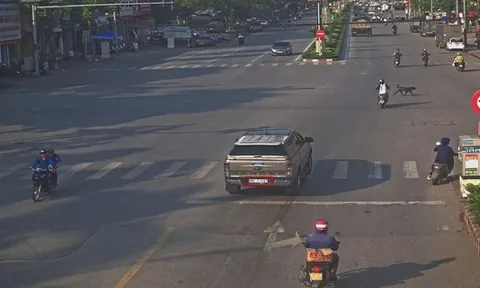 208 chủ xe vượt đèn đỏ, lấn làn... có biển số sau nhanh chóng nộp phạt nguội theo Nghị định 168