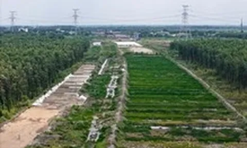 Vành đai 3 TP.HCM: Công trường phía Tây đi chậm chạp chờ cát