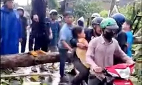 Đồng Nai: Dông lốc làm nhiều cây gỗ lớn ngã đổ, một phụ nữ bị thương