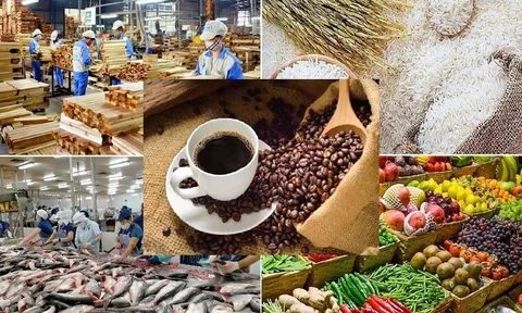 Lộ diện 'ngôi sao' sáng nhất của nông sản Việt Nam