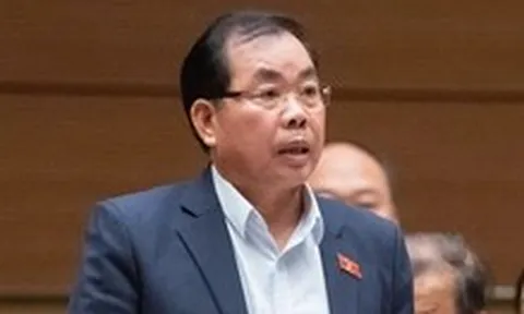 Đại biểu đề xuất HĐND không bầu chức danh chủ tịch UBND