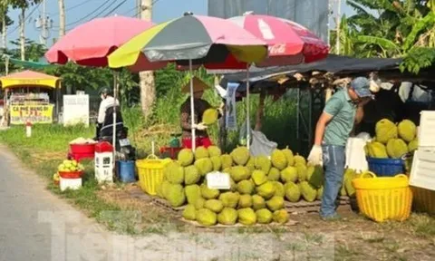 Cám cảnh 'trái cây vua': Tiểu thương thờ ơ, người trồng mỏi mòn chờ khách
