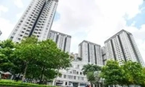 Ban quản trị chung cư không thể là 'tay ngang'