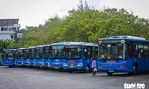 Anh em Tập đoàn Tân Thành Đô muốn đồng loạt 'buông tay' Saigon Bus
