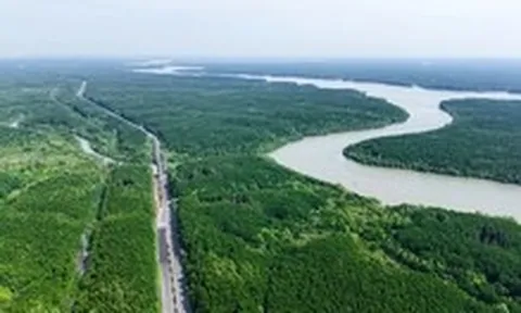 Vingroup gửi văn bản cho UBND TP.HCM: Đường sắt đi Cần Giờ sẽ làm bằng nguồn vốn tư nhân