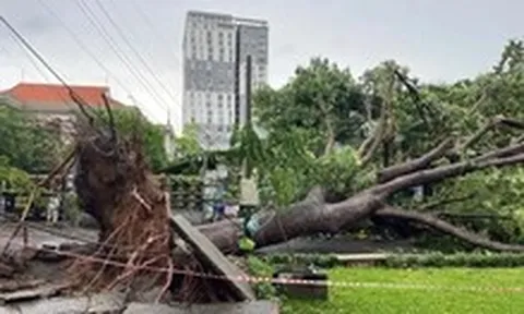 Liên tiếp 2 vụ điện giật vào mùa mưa làm 1 người chết tại TP.HCM