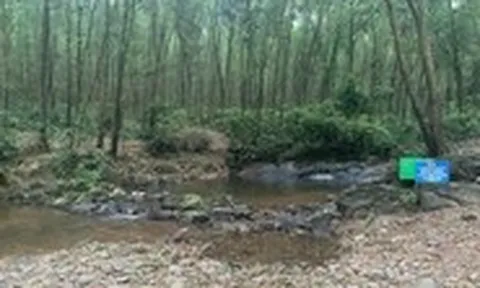 Đi tắm khe, hai học sinh chết đuối thương tâm