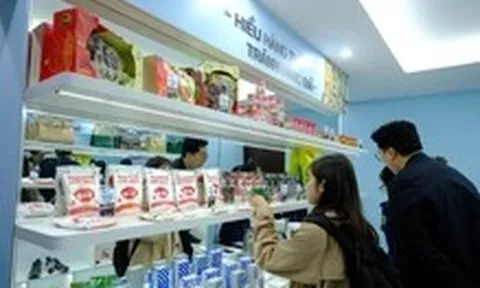 Thủ tướng: Lập chuyên án, xử nghiêm công chức buông lỏng để vi phạm hàng giả