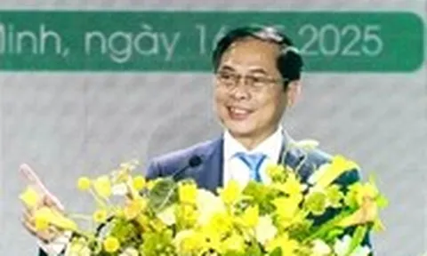Mỏ Đại Hùng: Từ dự án chuyển giao 1 USD đến khả năng làm chủ biển sâu của người Việt