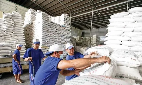 Đề xuất quy định mới về kinh doanh xuất khẩu gạo