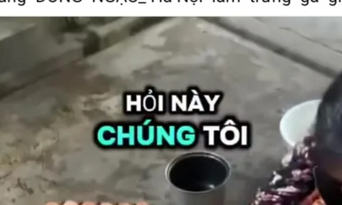 Hiệp hội Gia cầm Việt Nam lên tiếng về thông tin "trứng gà giả"