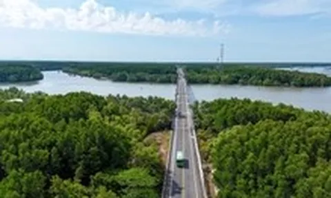 Bộ Tư pháp, Bộ Tài chính có ý kiến về đầu tư đường sắt nối trung tâm TP.HCM đi Cần Giờ