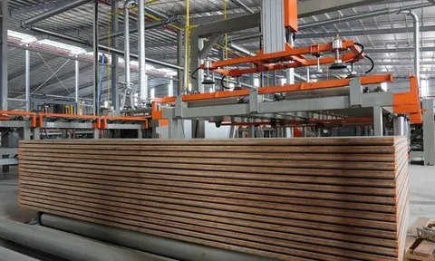 Tỷ phú Trần Đình Long bắt đầu sản xuất một sản phẩm mới toanh, mục tiêu 2030 đứng top 3 doanh nghiệp lớn nhất cả nước