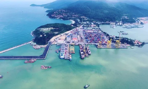 Cảng miễn thuế: Mảnh ghép chiến lược cho sự chuyển mình của Việt Nam
